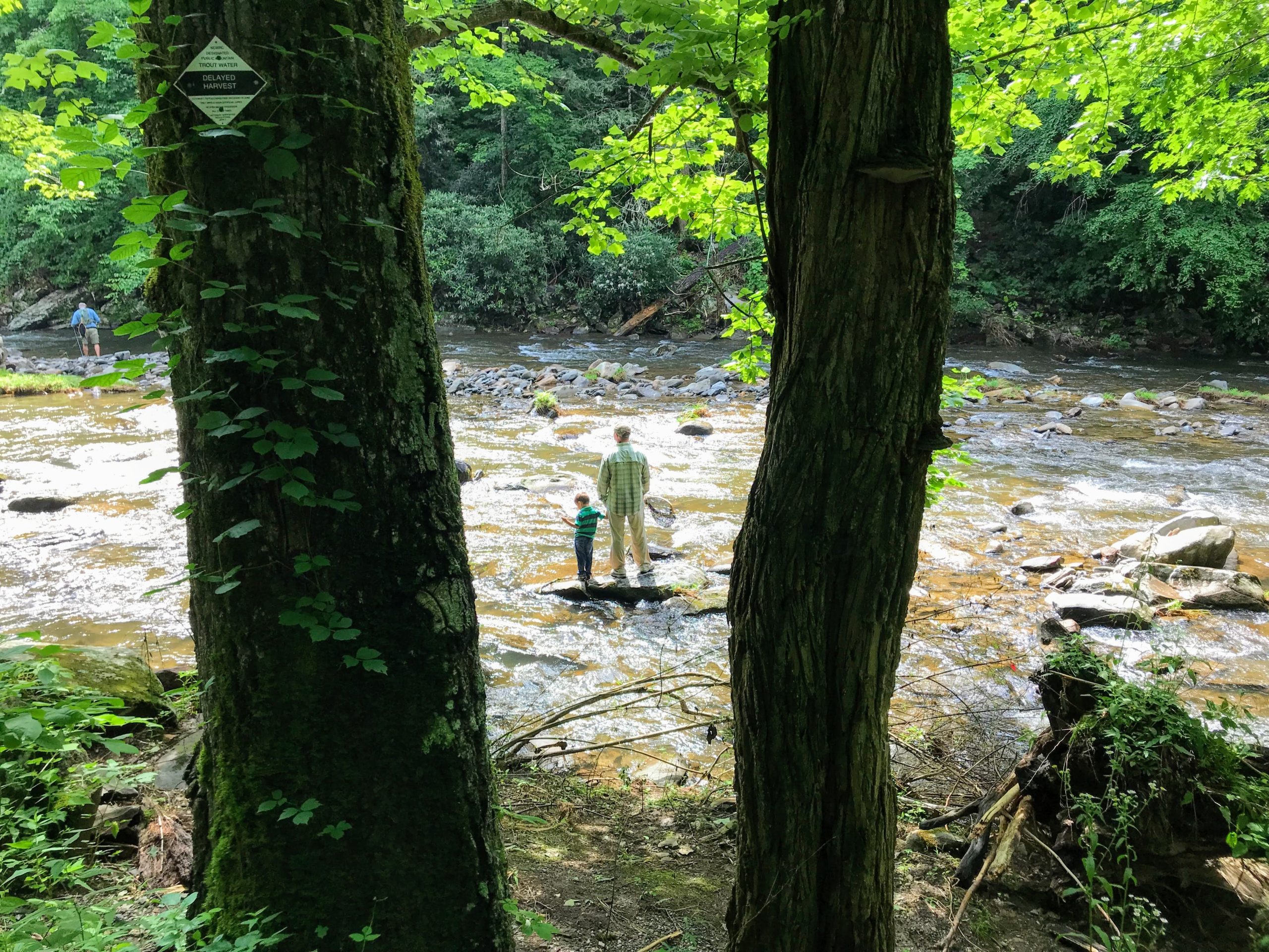 Lessons From a Five Year Old in Fly Fishing. - WADEOUTTHERE