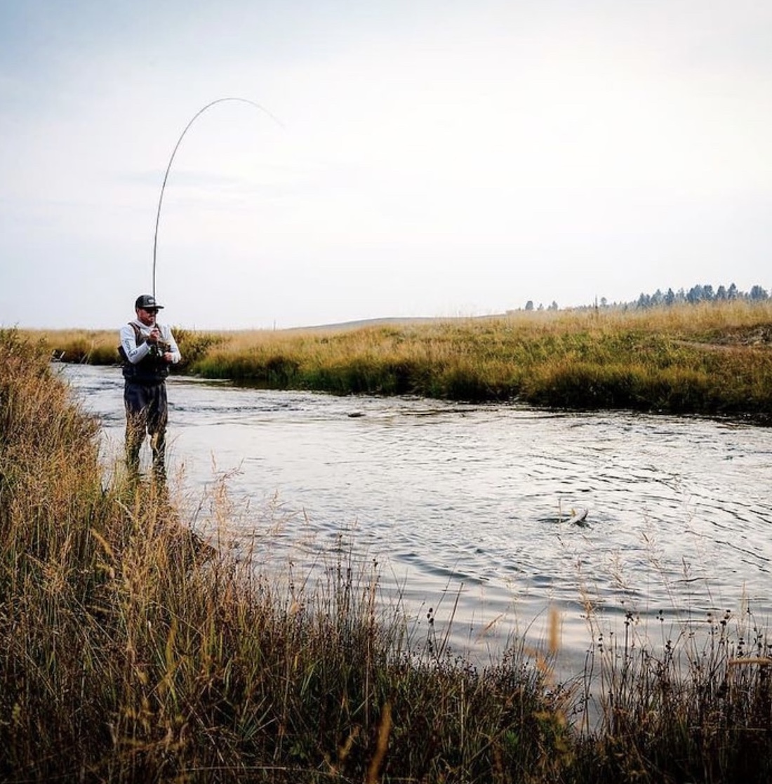 Provo River Fly Fishing - Utah Fly Fishing Guide